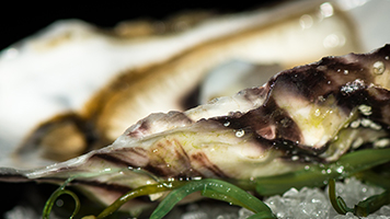 Du sur mesure pour vos événements